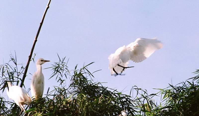 M&ecirc;nh mang du lịch s&ocirc;ng nước Cần Thơ